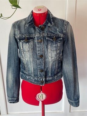 Wallflower Classic Faded Blue Denim Jacket